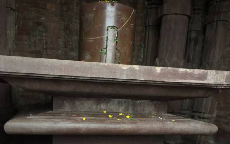 Bhojeshwar Temple Bhojpur Raisen