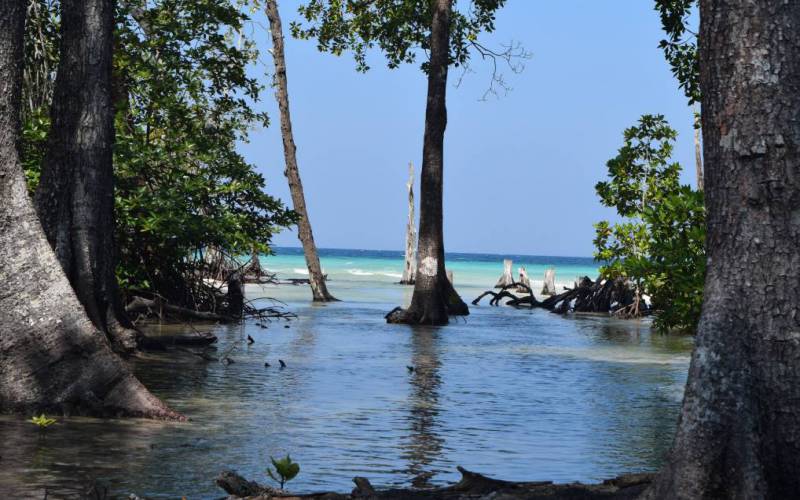 Havelock Island Andaman & Nicobar