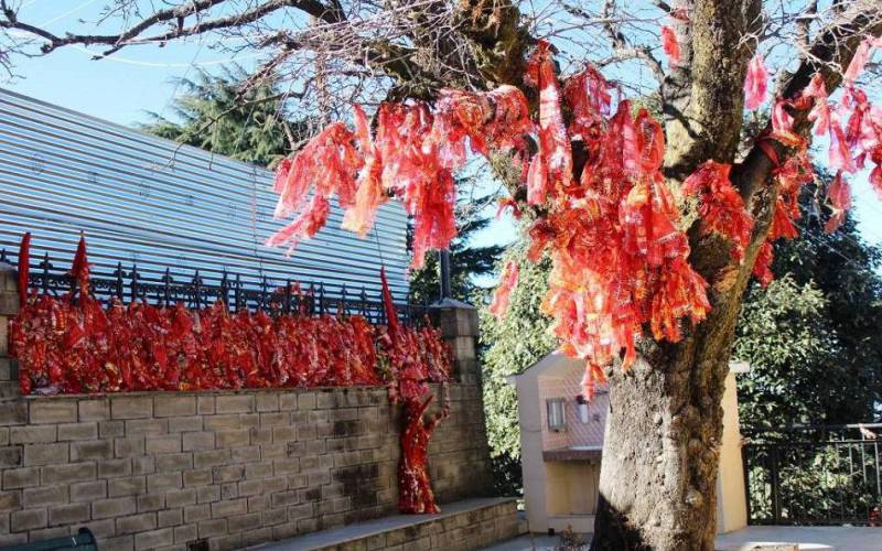Tara Devi Temple Himachal Pradesh
