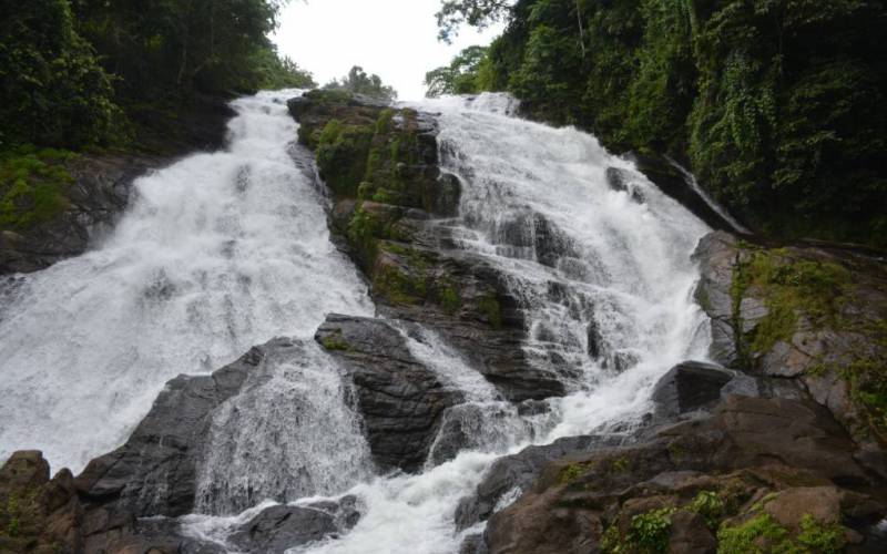 Charpa Waterfalls Thrissur