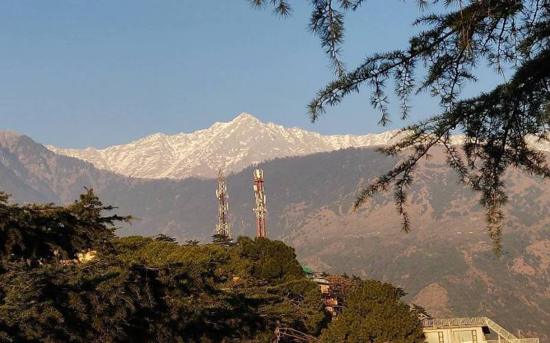 Dalai Lama Temple Complex Himachal Pradesh