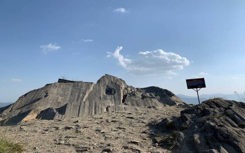 Chauli ki Jali Mukteshwar