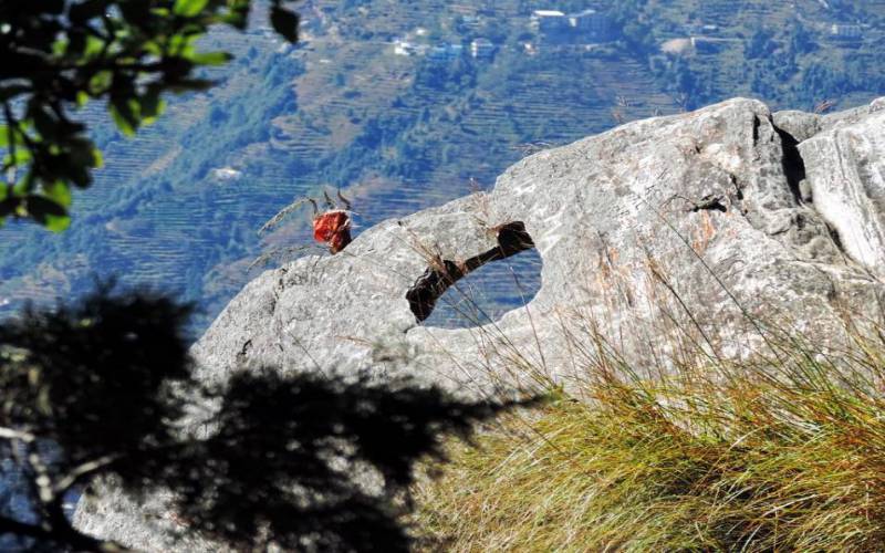 Chauli ki Jali Nainital