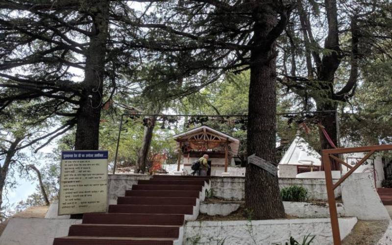 Nainital Chauli ki Jali