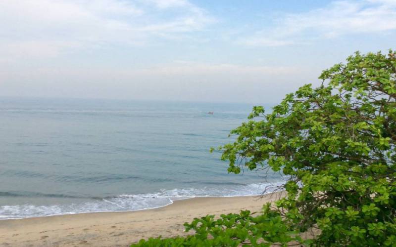 Ernakulam Cherai Beach