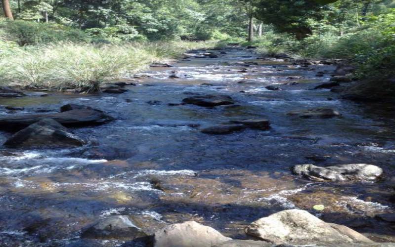 Chikkamagaluru Hebbe Falls