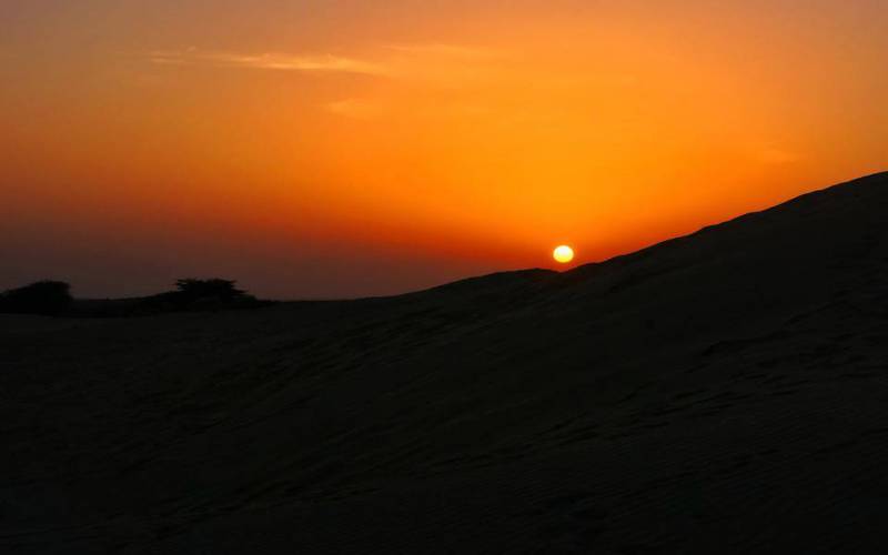 Desert National Park, Jaisalmer, Rajasthan