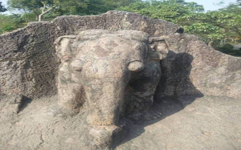 Dhauli Giri Hills Bhubaneswar