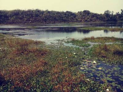 Travel Guide Sangram Sagar Lake Jabalpur