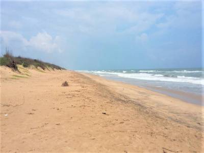 Travel Guide Swargadwar Beach Puri