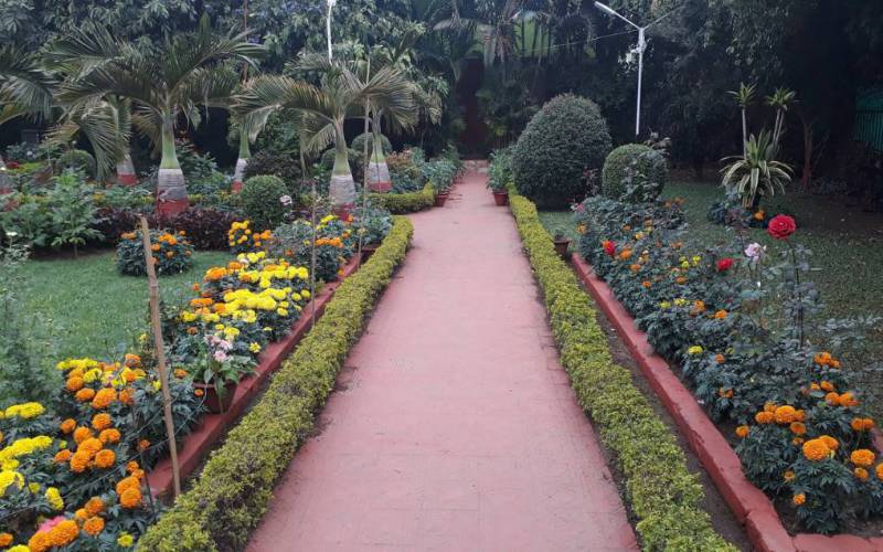 Netaji Museum Cuttack