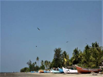 Travel Guide Morjim Beach