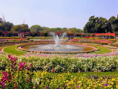 Travel Guide Delhi Mughal Garden