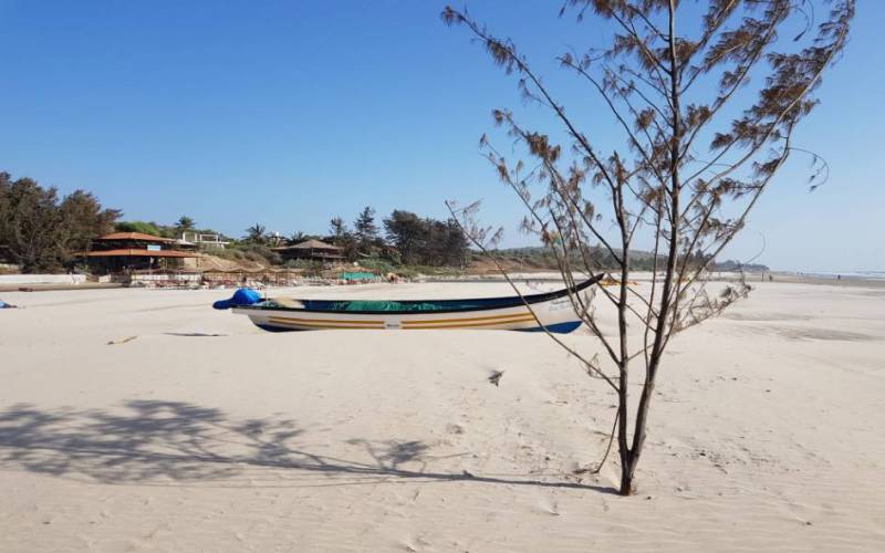 Goa Mandrem Beach