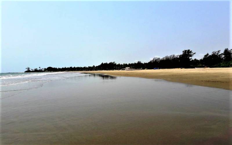 Morjim Beach North Goa