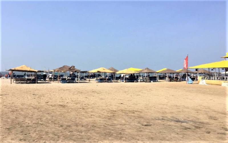 North Goa Morjim Beach