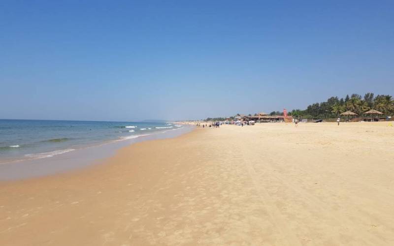Candolim Beach