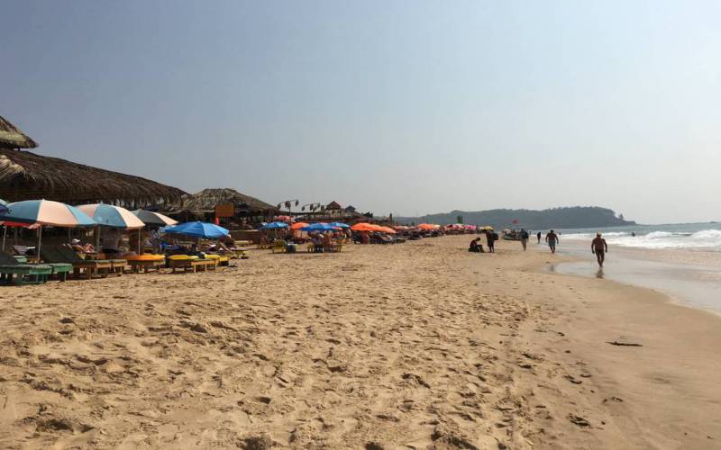 Candolim Beach Goa