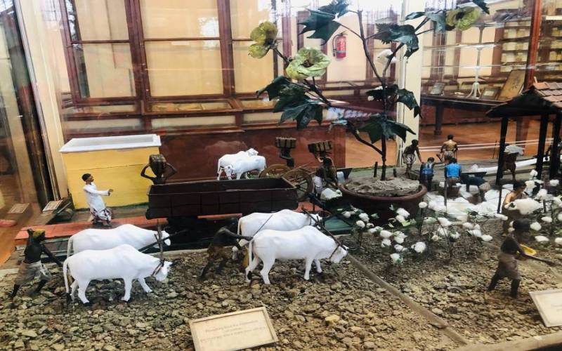 Kolkata Indian Museum