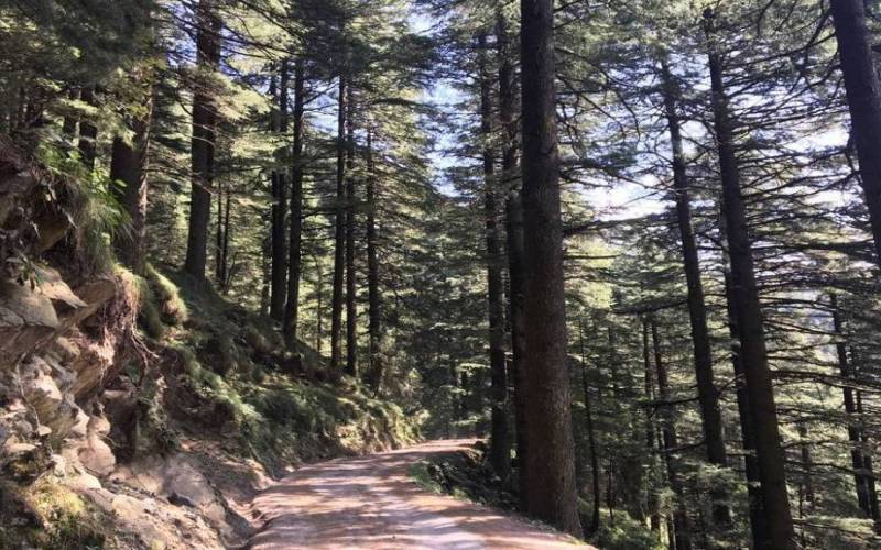 Kalatop wildlife sanctuary Chamba