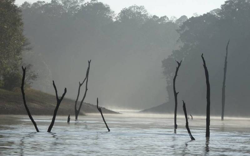 Periyar Wildlife Sanctuary Kerala