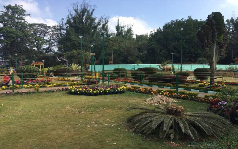 Rajas Seat Karnataka