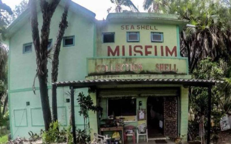 Sea Shell Museum Diu