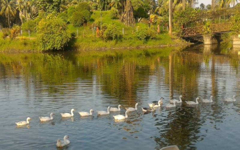 Vanganga Lake Garden