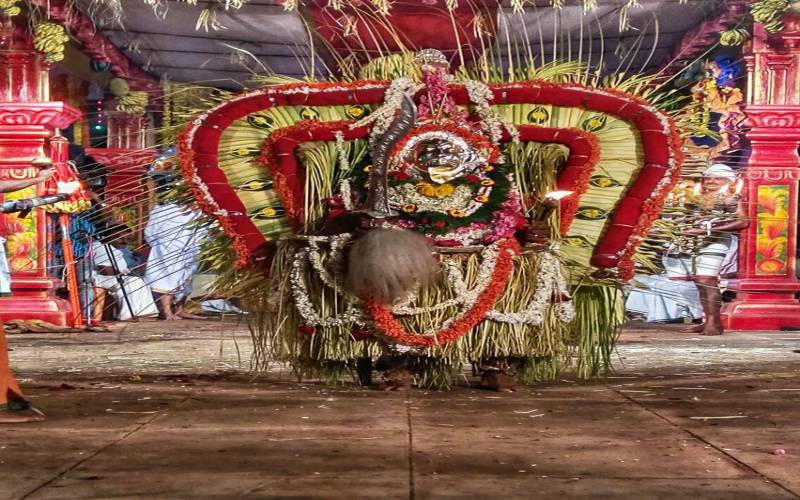 Buta Kola Folk Dance