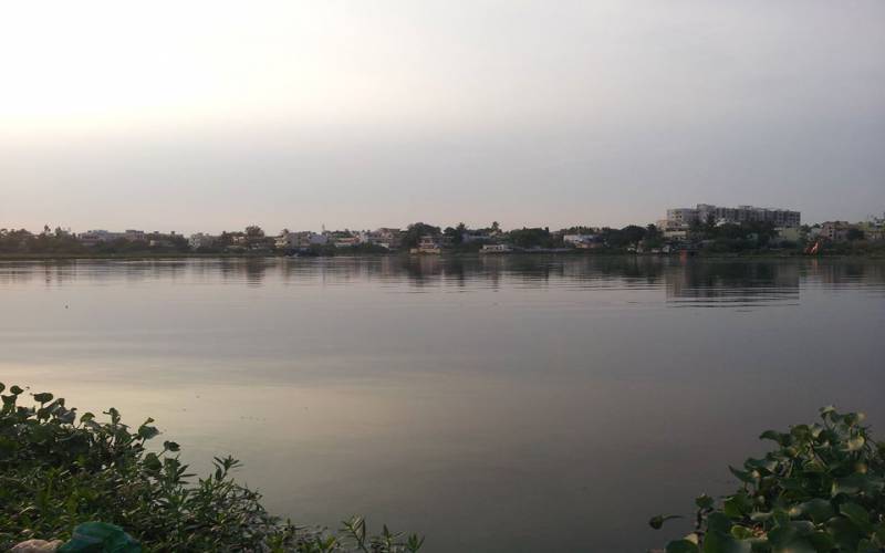 Alwal Lake in Secunderabad of Hyderabad