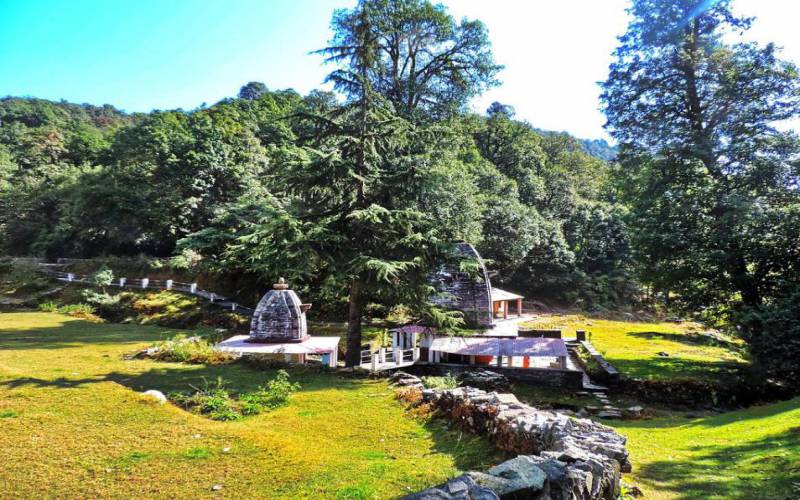 Almora Binsar Wildlife Sanctuary