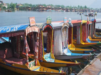 Dal Lake, Srinagar, India